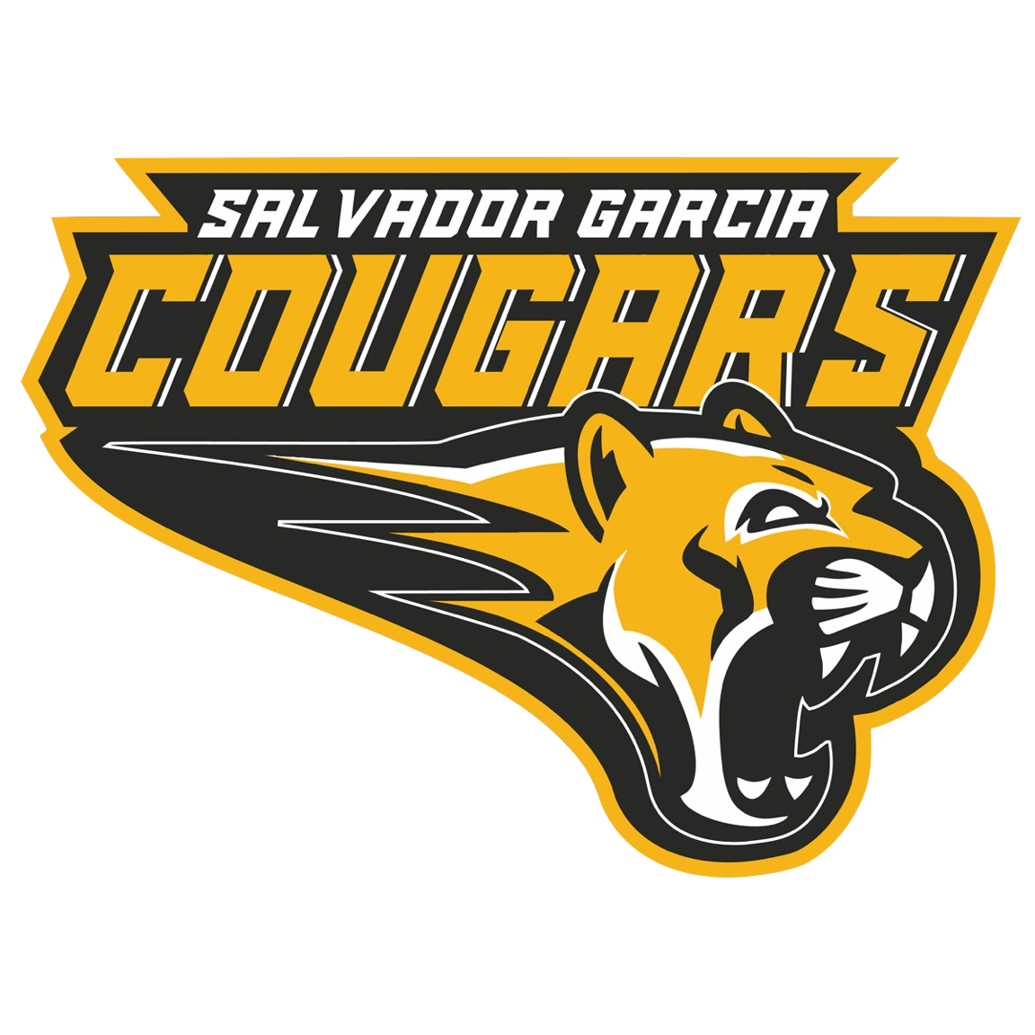 Salvador Garcia MS